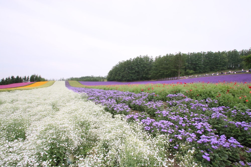 富良野 思惟林 旭川
