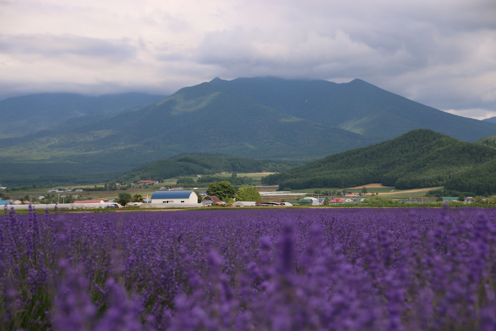 富良野 思惟林 旭川