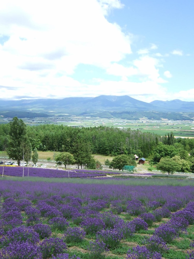 GUFO の森 上富良野 旭川