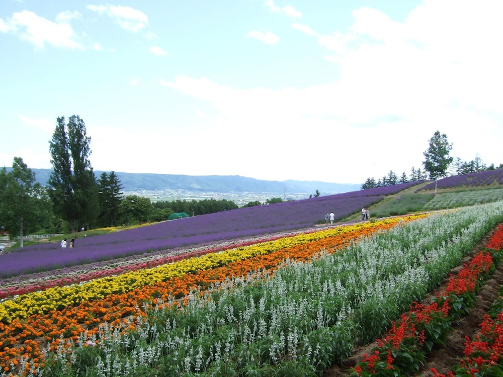 GUFO の森 上富良野 旭川