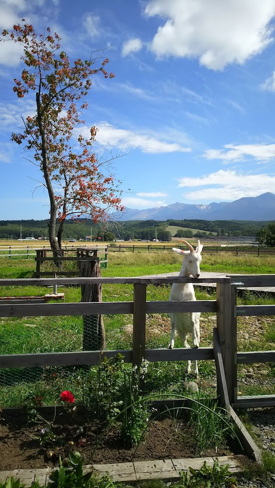 GUFO の森 上富良野 旭川