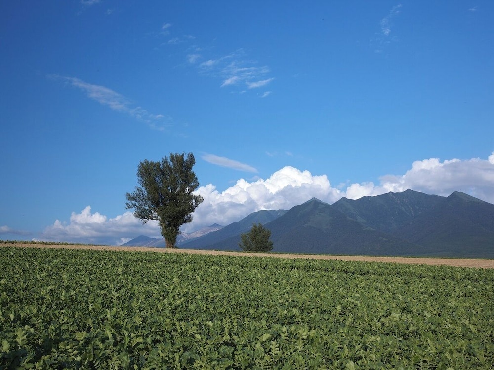 夕茜舎 (あかねやど) 旭川