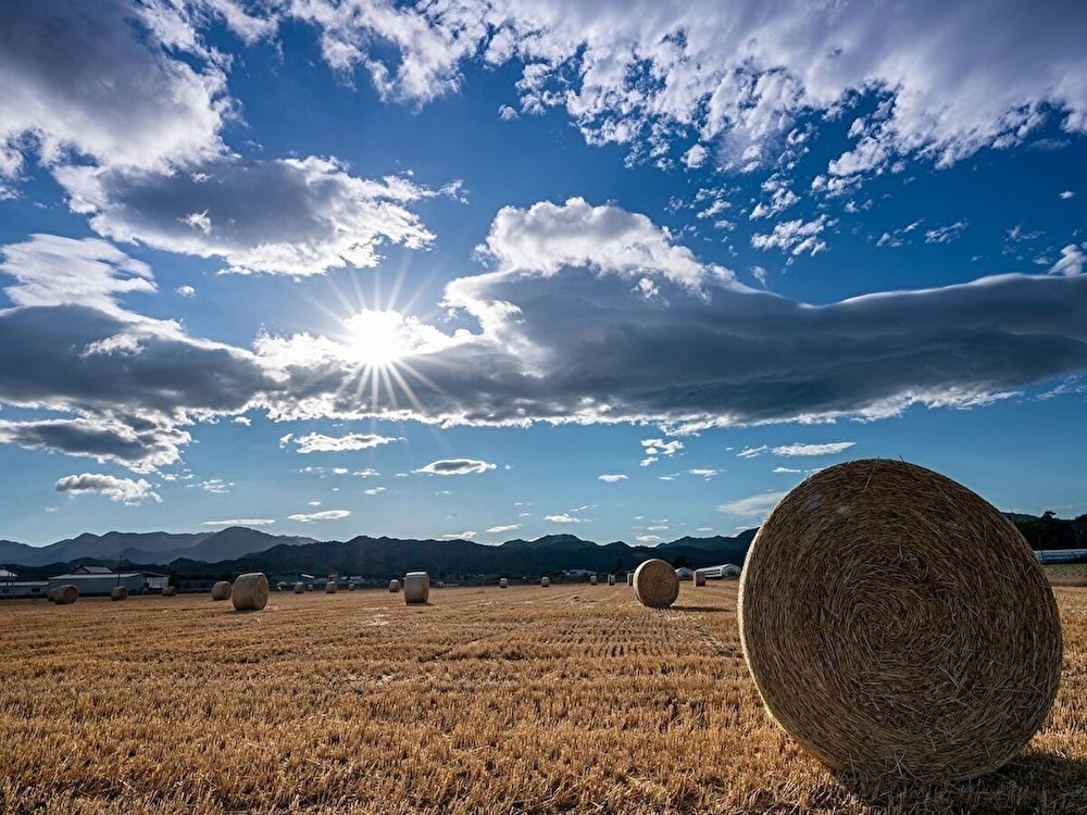 夕茜舎 (あかねやど) 旭川