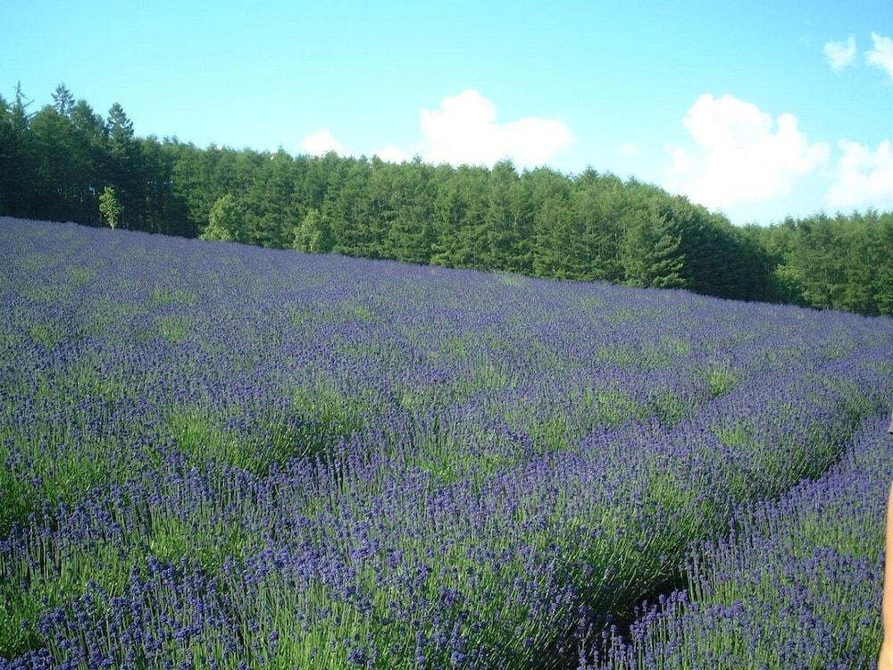 夕茜舎 (あかねやど) 旭川