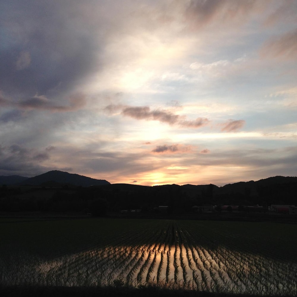 エレメント 旭川