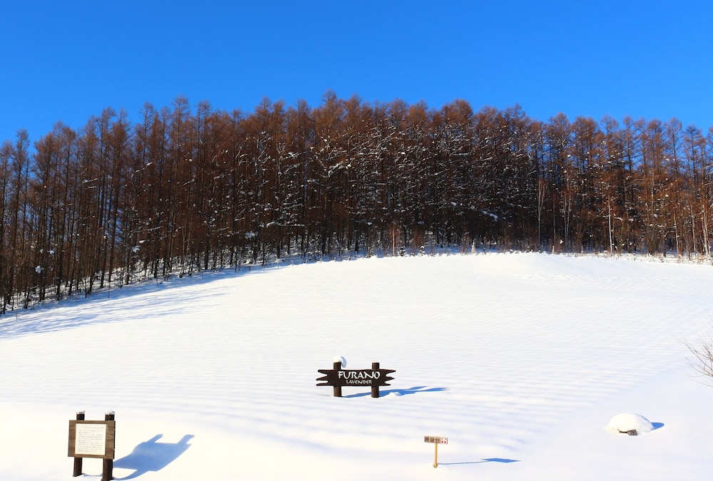 ふらの田園コテージ ヌプリ 旭川