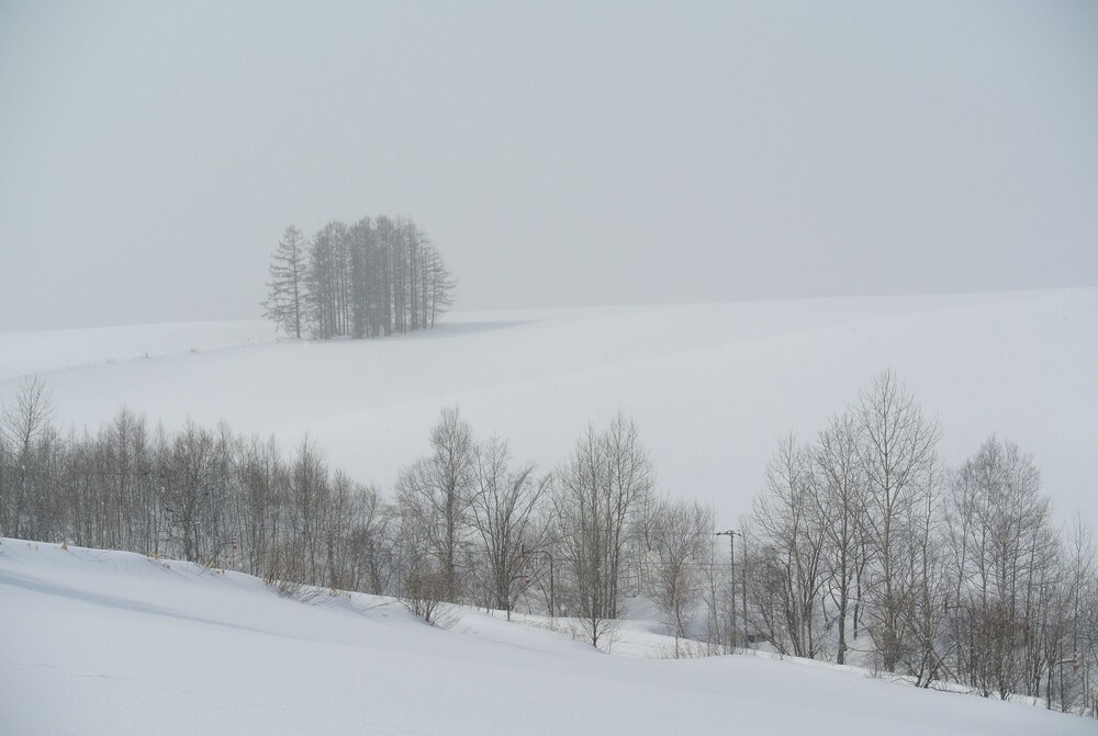 笑顔咲く宿 めぐみ雪 旭川
