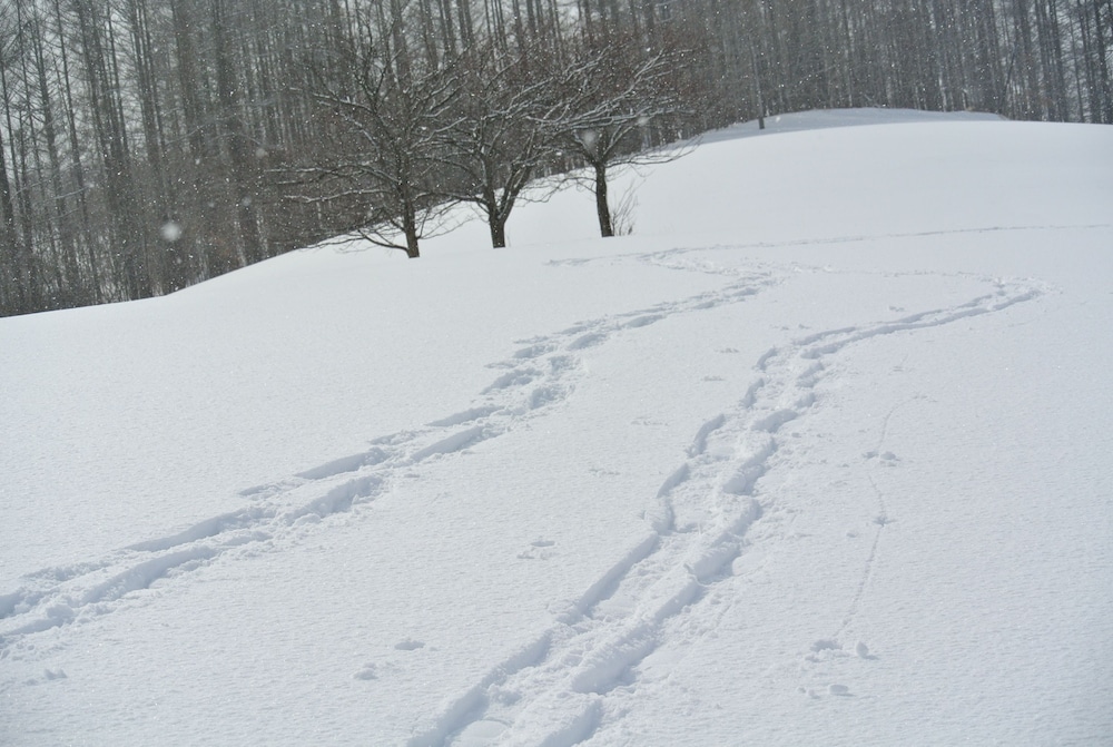 笑顔咲く宿 めぐみ雪 旭川