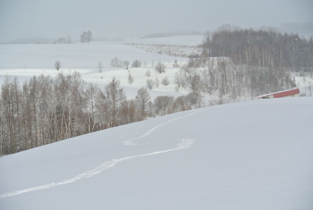 笑顔咲く宿 めぐみ雪 旭川