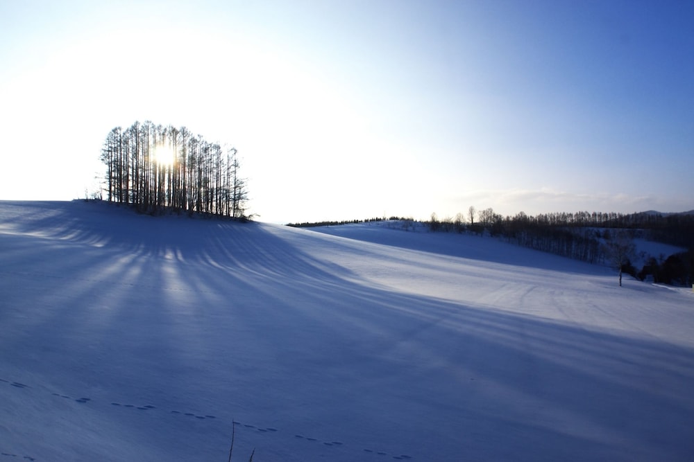 笑顔咲く宿 めぐみ雪 旭川