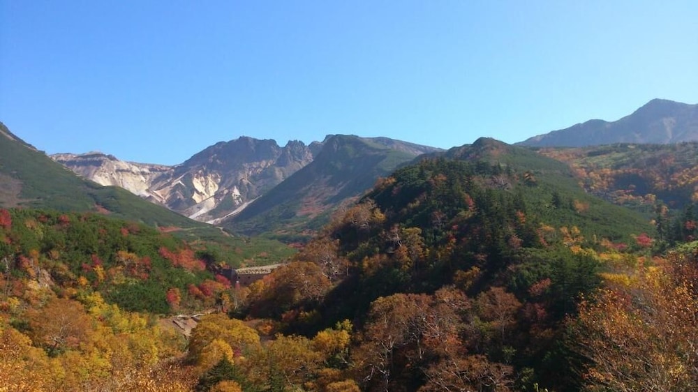 十勝岳温泉 湯元 凌雲閣 旭川