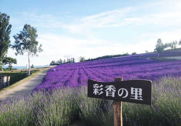 ホテル ハナフジイン 旭川