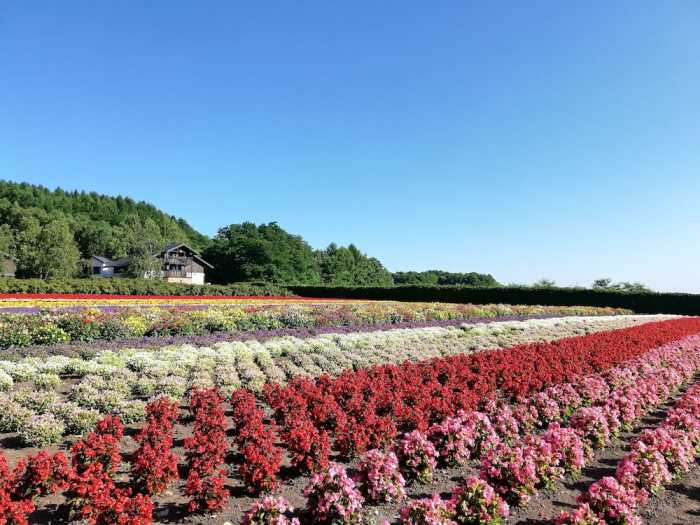 ホテル ハナフジイン 旭川