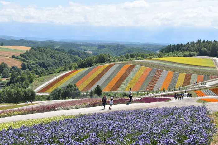 ホテル ハナフジイン 旭川