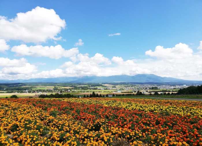 ホテル ハナフジイン 旭川