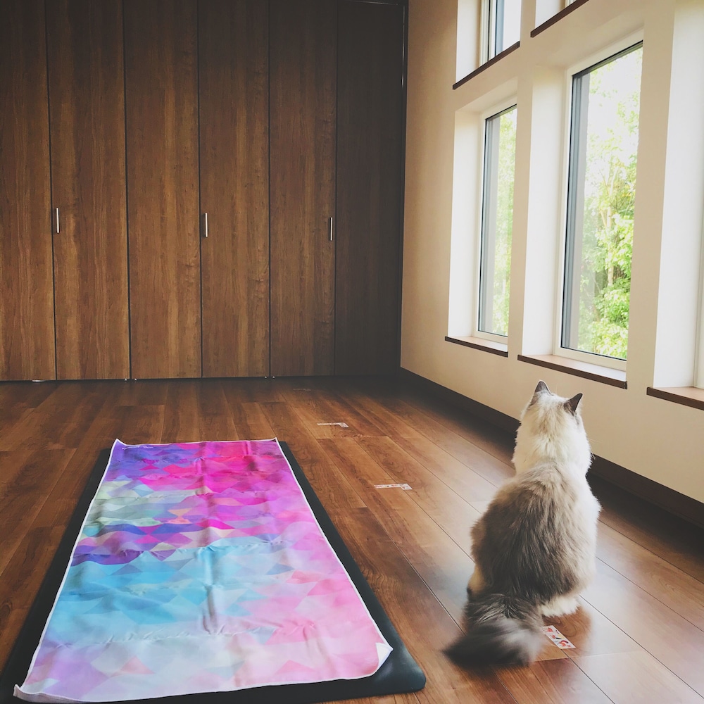 B&B PLUS + SHOOTING STAR 旭川