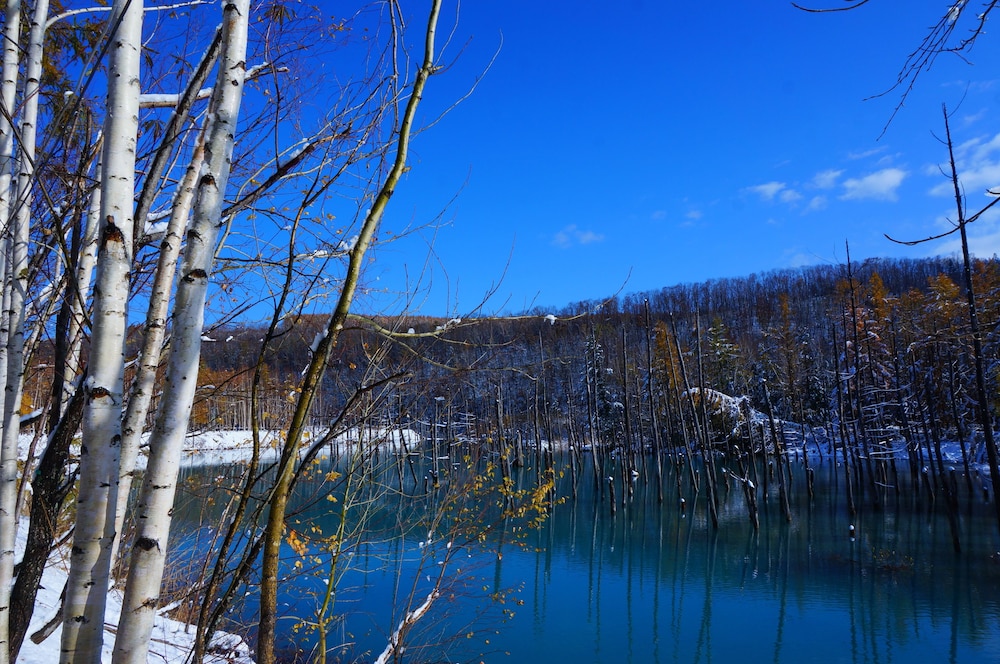 B&B PLUS + SHOOTING STAR 旭川