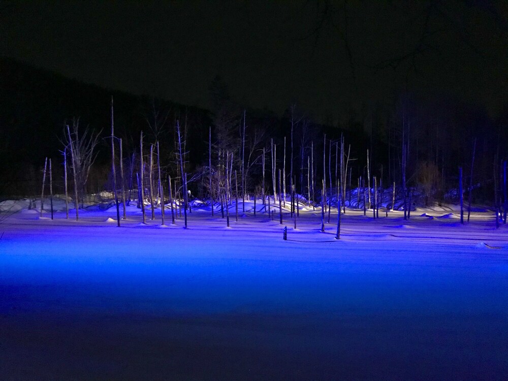 B&B PLUS + SHOOTING STAR 旭川