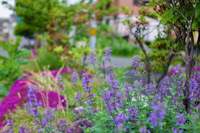 HDO 富良野ガーデンの家 旭川