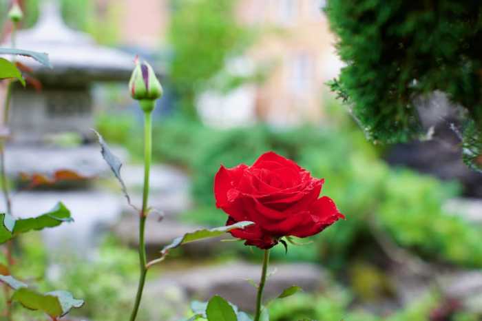 HDO 富良野ガーデンの家 旭川