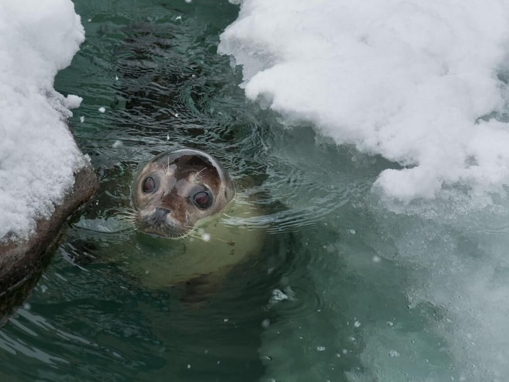スーパーホテル旭川 旭川