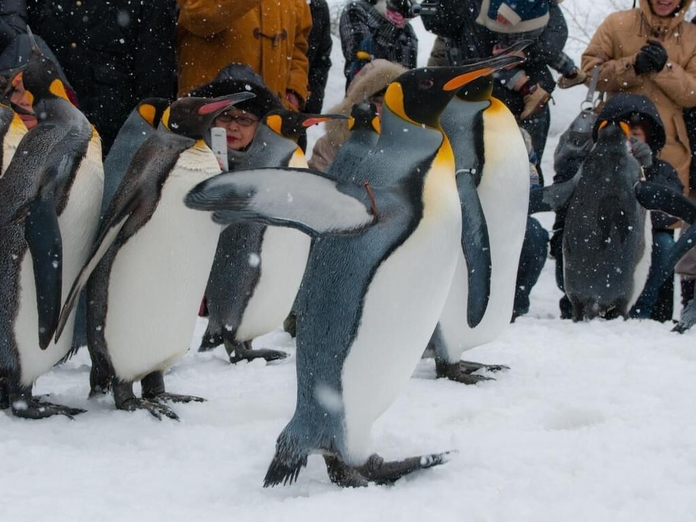 スーパーホテル旭川 旭川