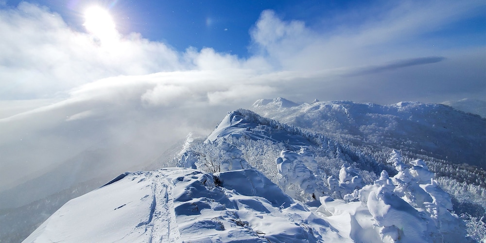 ペンション グスベリー 旭川
