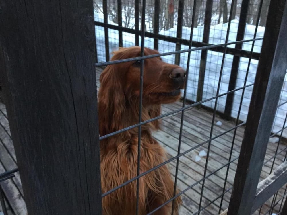 ペンション グスベリー 旭川