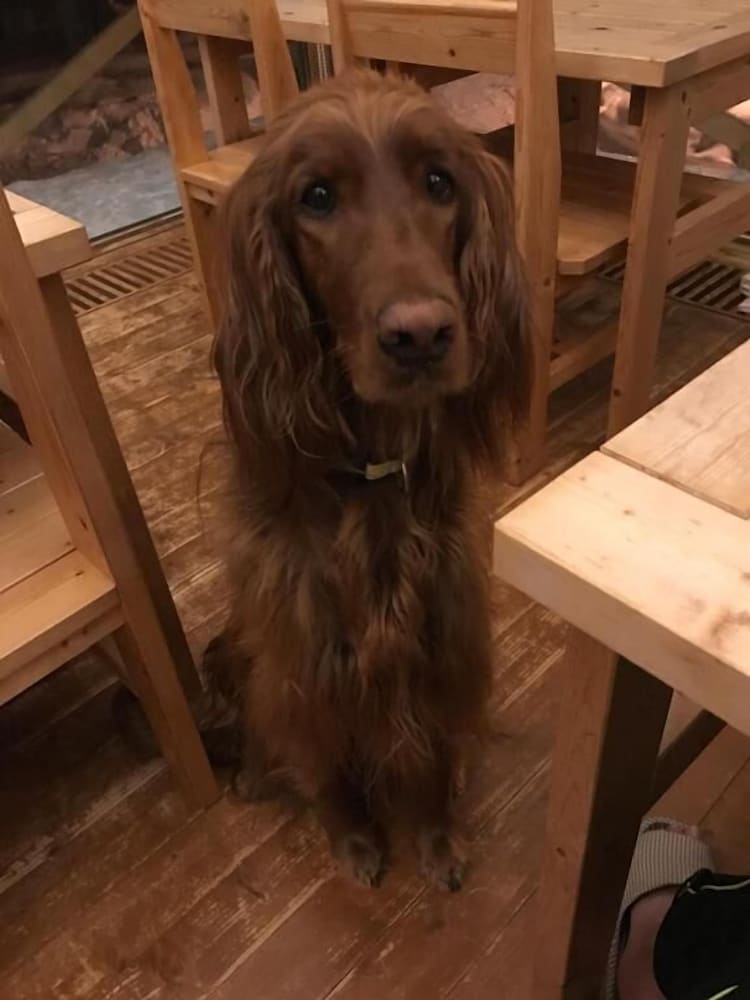 ペンション グスベリー 旭川