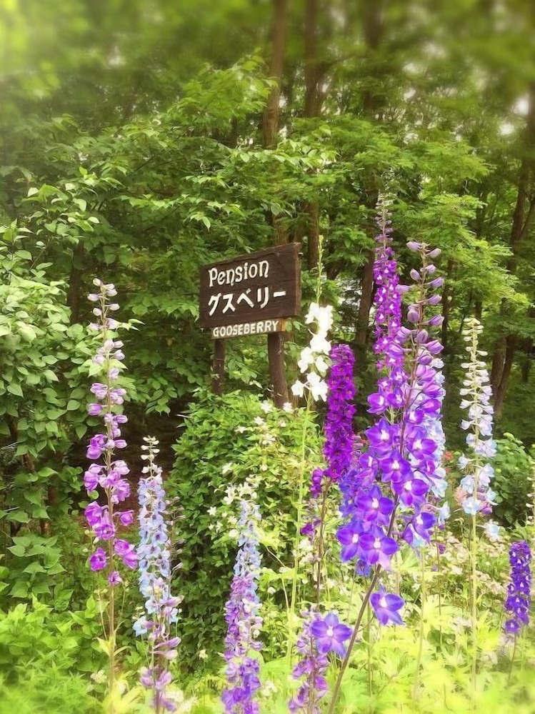 ペンション グスベリー 旭川