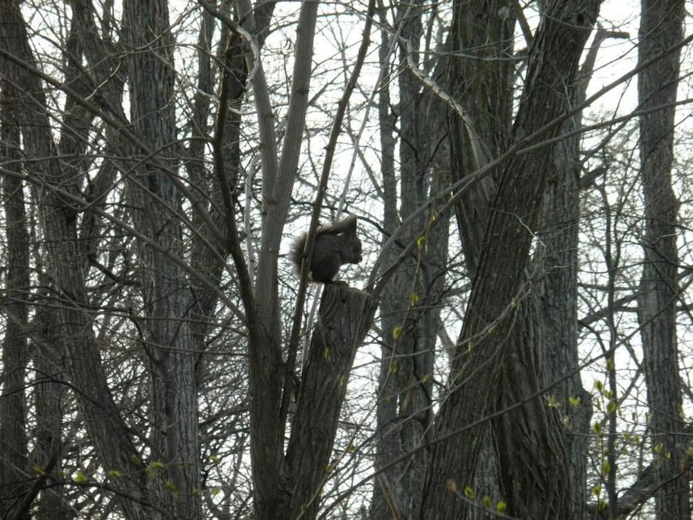 ペンション グスベリー 旭川