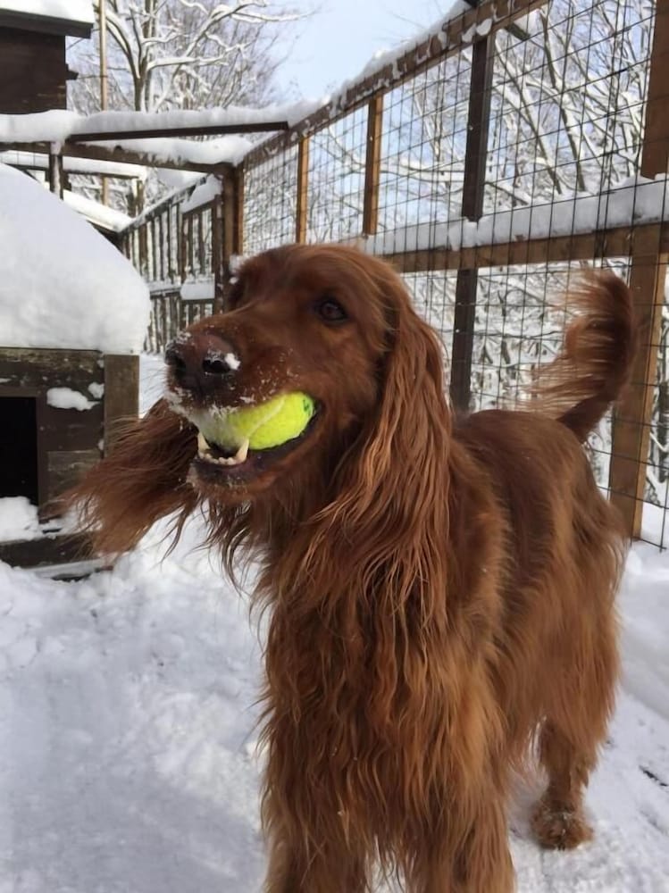ペンション グスベリー 旭川