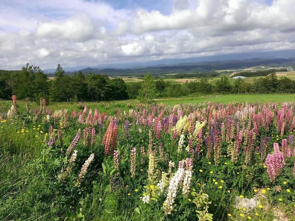 ペンション グスベリー 旭川