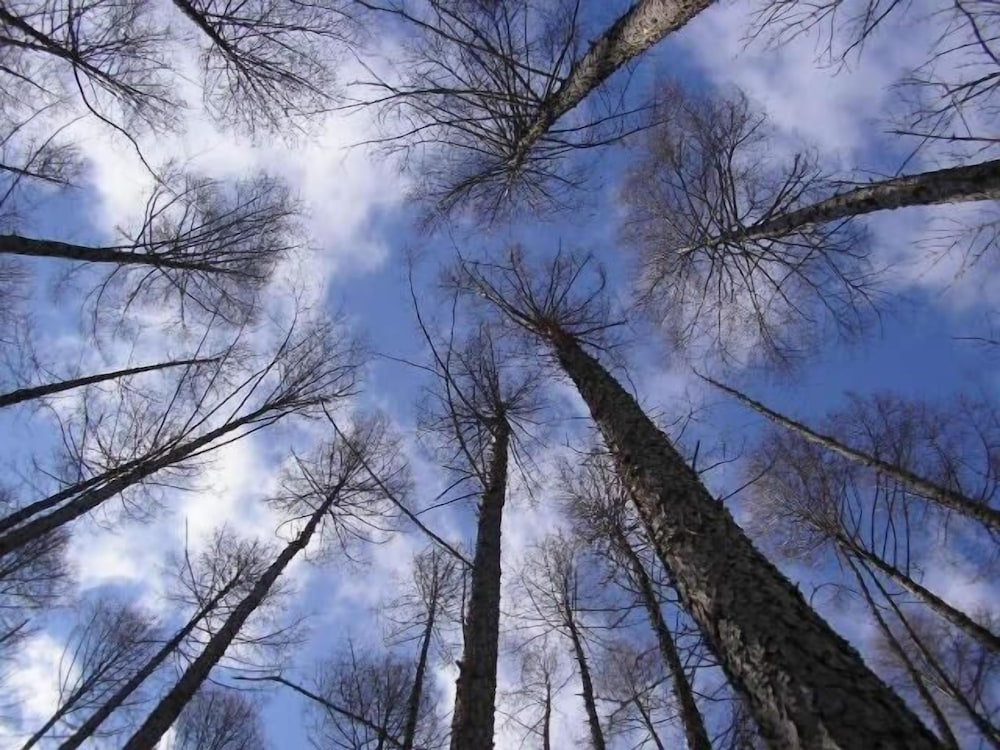 ペンション グスベリー 旭川