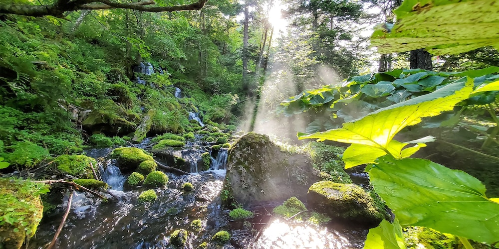 ペンション グスベリー 旭川