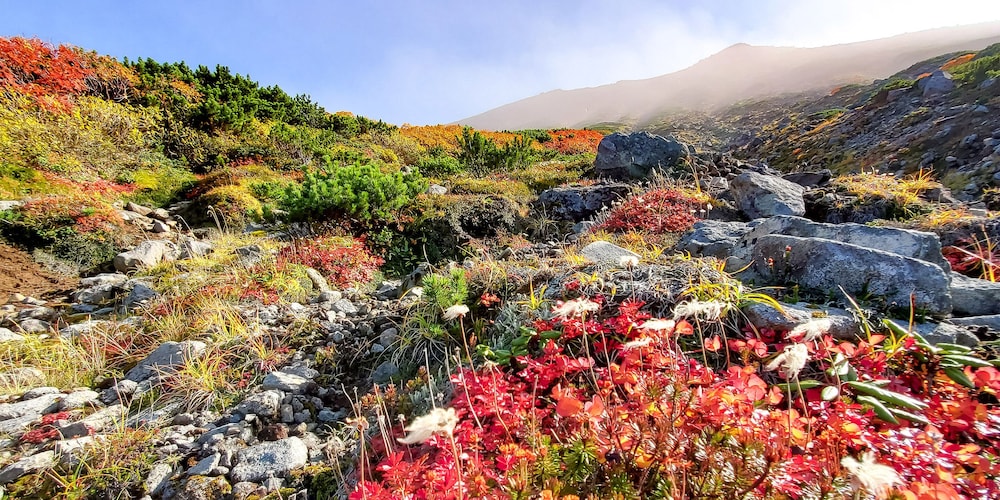 ペンション グスベリー 旭川