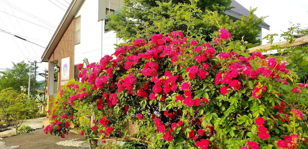 DONGURI HOUSE 旭川