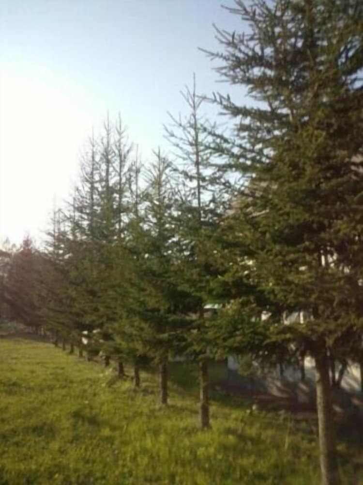 プチホテル グレーシィ・トマム 旭川