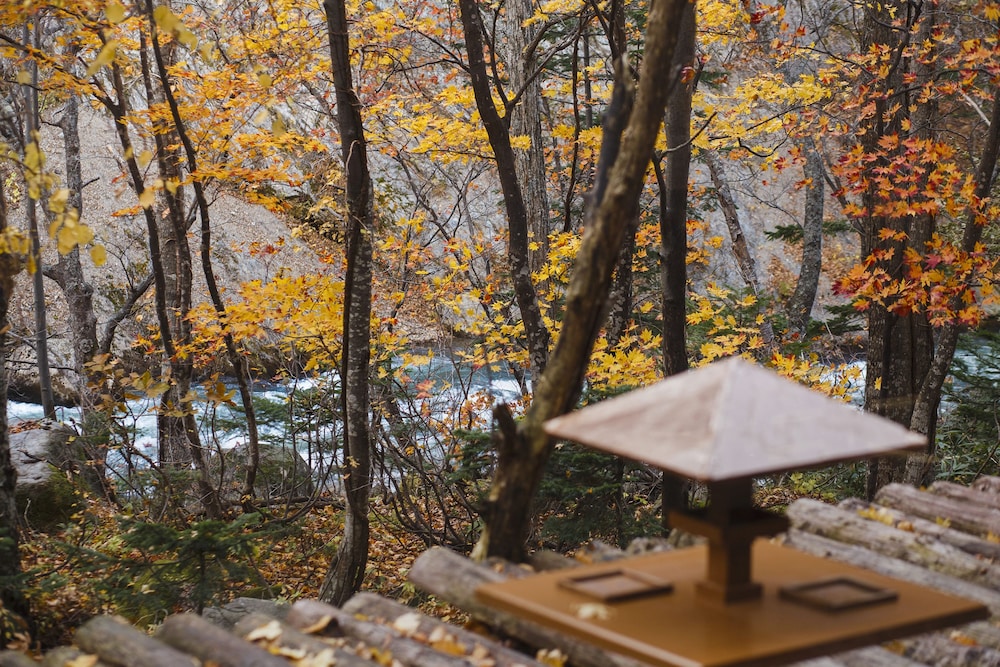 層雲峡温泉 朝陽リゾートホテル 旭川