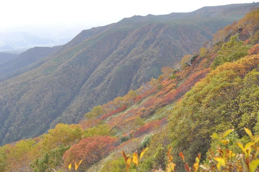 湯元銀泉閣 旭川