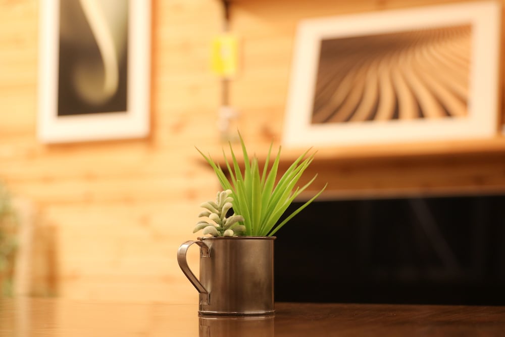 フォテージ イン 美瑛 旭川