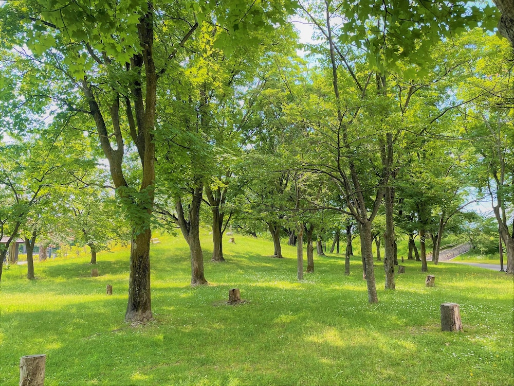 ホテルアマネク旭川 旭川
