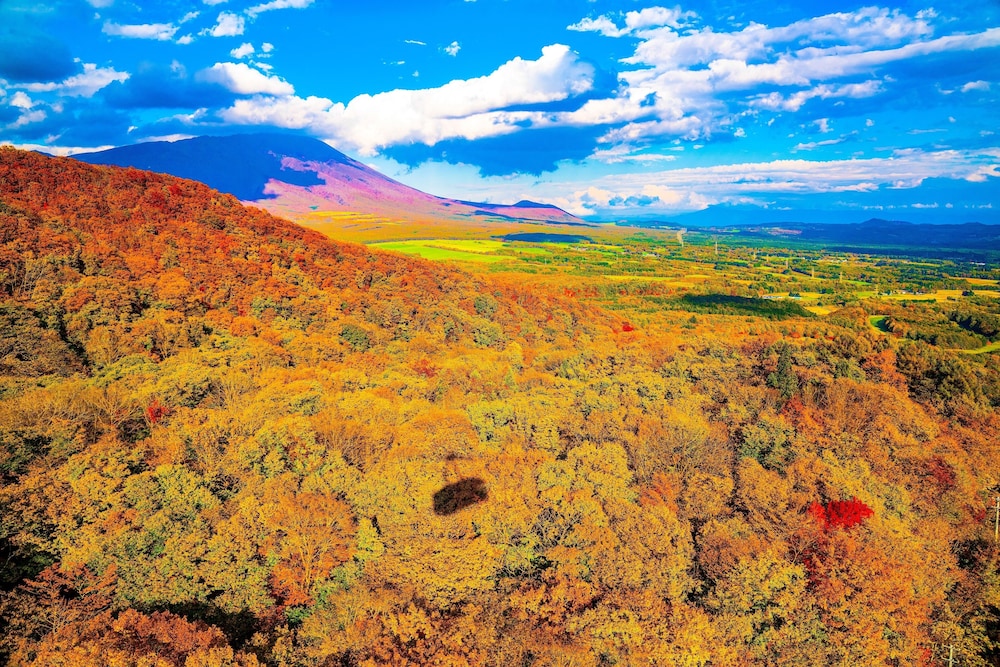 雫石プリンスホテル 盛岡