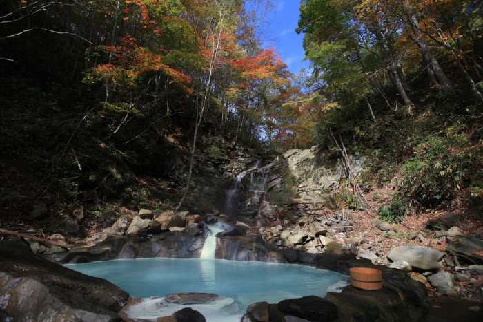 休暇村岩手網張温泉 盛岡