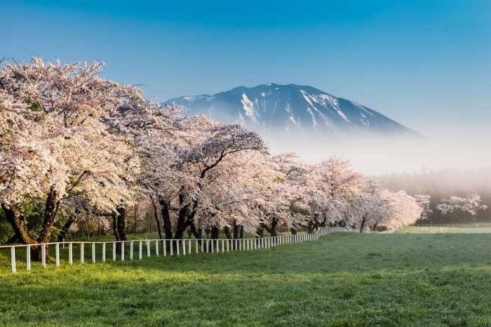 休暇村岩手網張温泉 盛岡