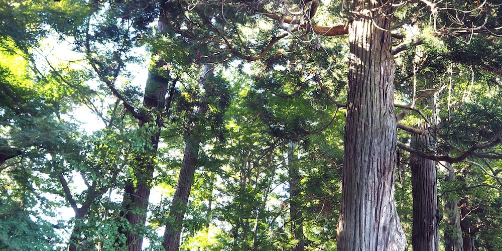 祭畤温泉 かみくら 盛岡