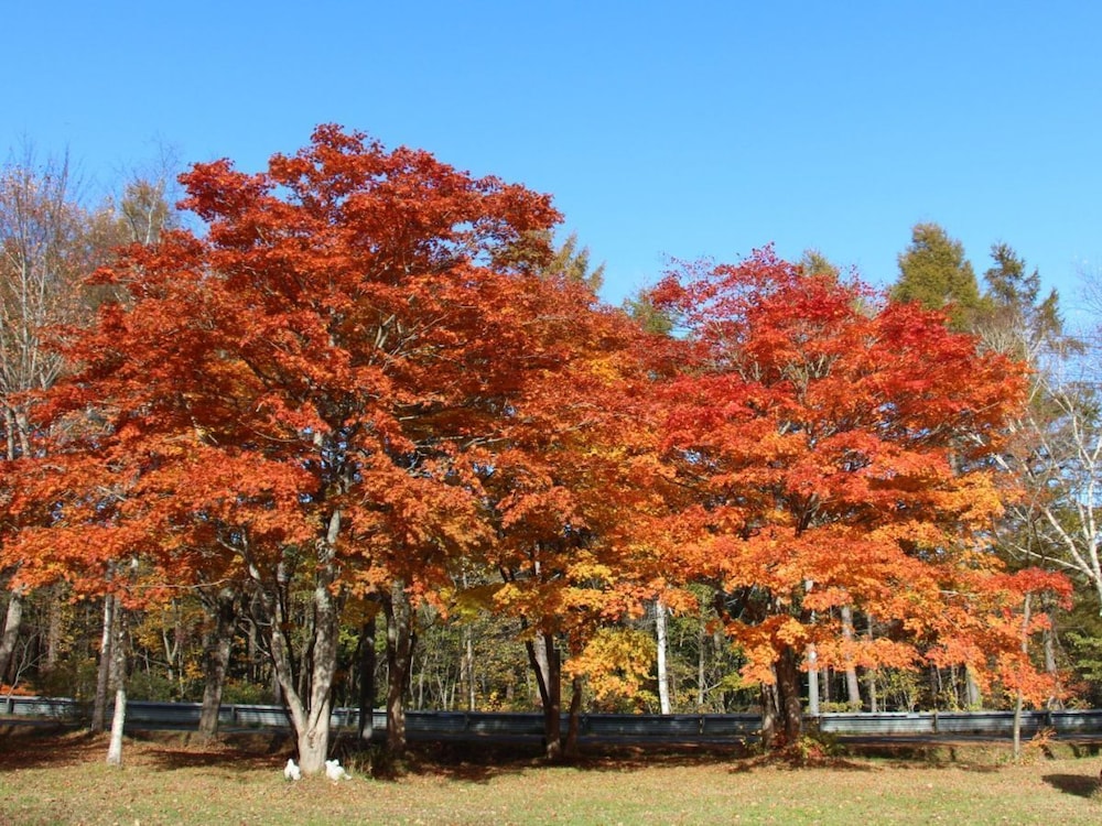 アーラ・ワッカ 盛岡
