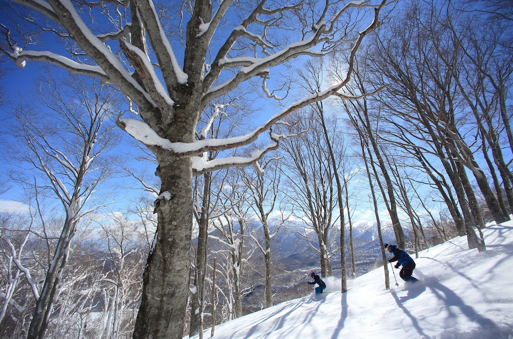 焼走り温泉 岩手山焼走り国際交流村 焼走りキャビン村 盛岡