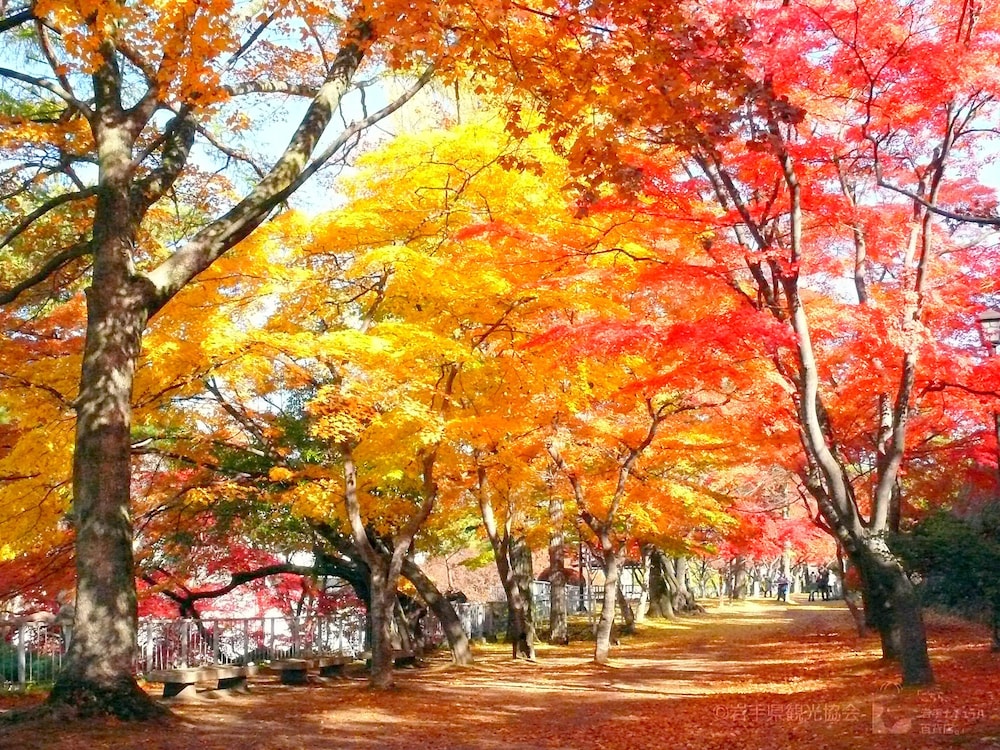 アートホテル盛岡 盛岡