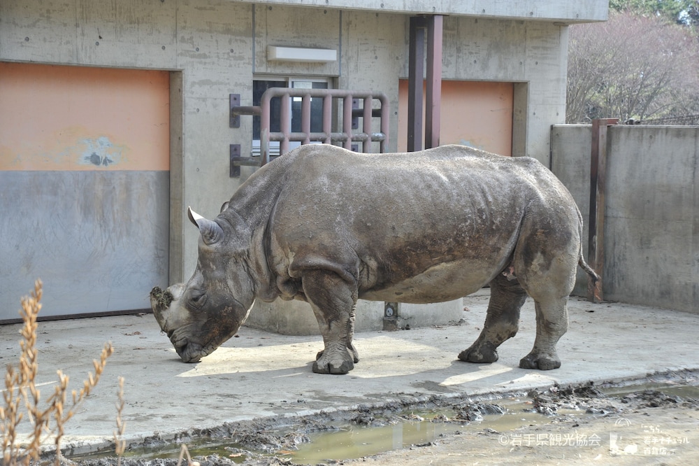 アートホテル盛岡 盛岡